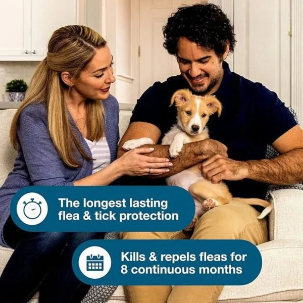 Flea & Tick Collar For Small Dogs