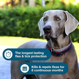 Flea & Tick Collar for Large Dogs